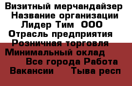 Визитный мерчандайзер › Название организации ­ Лидер Тим, ООО › Отрасль предприятия ­ Розничная торговля › Минимальный оклад ­ 15 000 - Все города Работа » Вакансии   . Тыва респ.